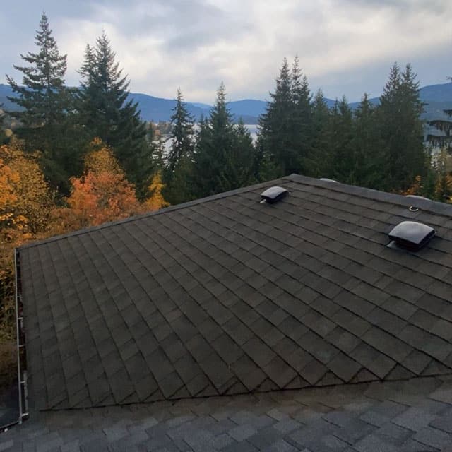 A Bellingham roof after being cleaned by Pure Shine.