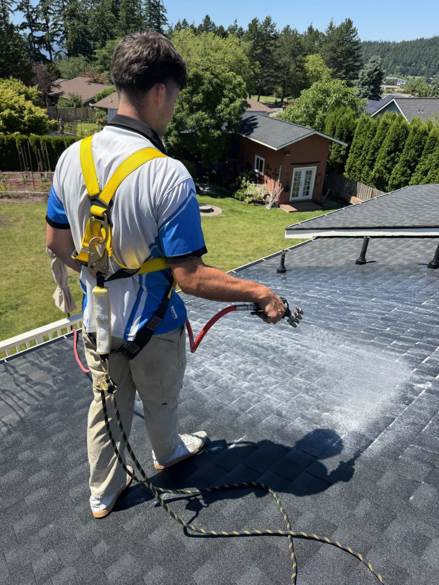 Roof Cleaning | Bellingham | Pure Shine Roof Cleaning | Bellingham | Pure Shine